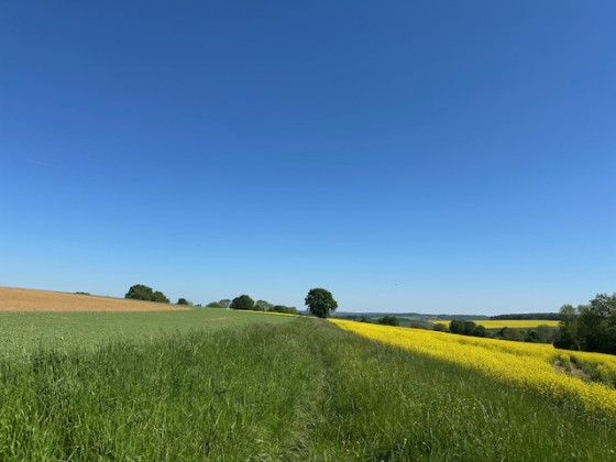 jolie vue et nature fleurie