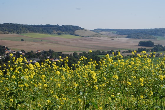 jolie vue