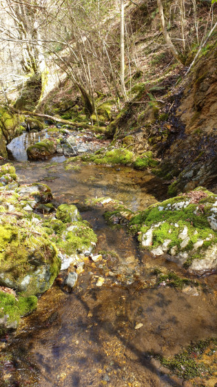 Jonction avec la Génie Braque Jonction avec la Génie Braque