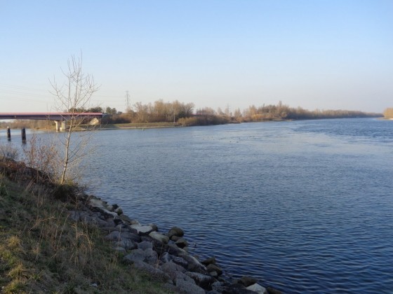 Jonction Canal Rhin-Rhône avec le Grand Canal d\'Alsace