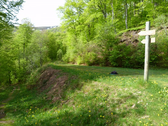 Jonction sentier/piste forestière