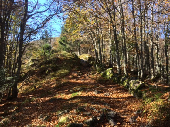 Journ&eacute;e d'automne