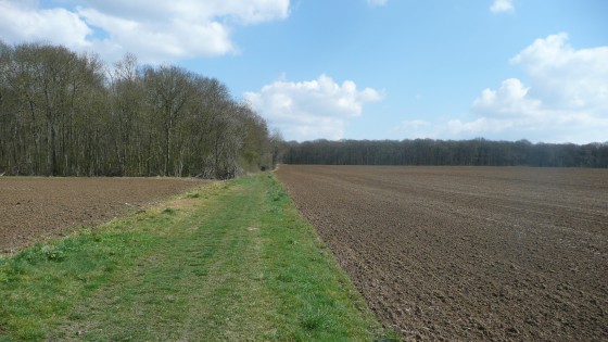 Juilly