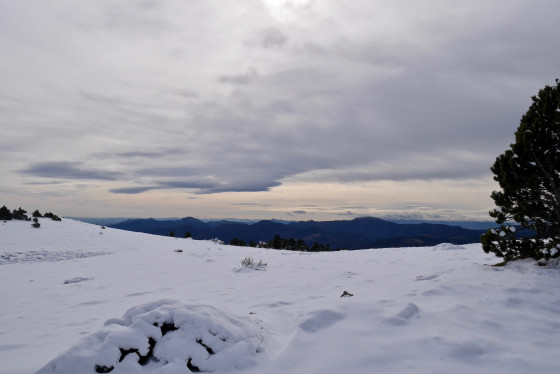 Juste après le Coll de l’Estanyol ::8::