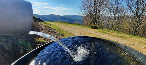 JUSTE AVANT LA FA DU SALZBACH