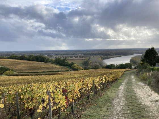 Juste avant le calvaire en longeant les vignes