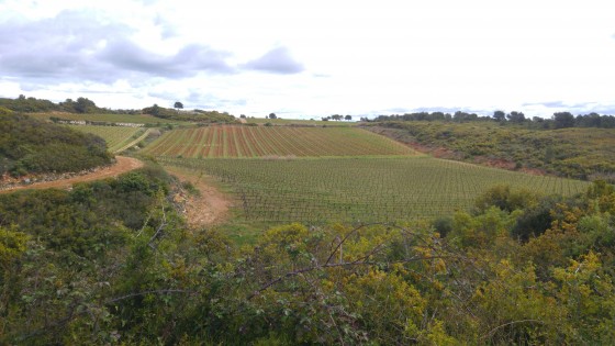Juste avant le hameau