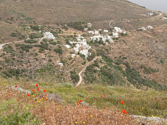 Kallitsos