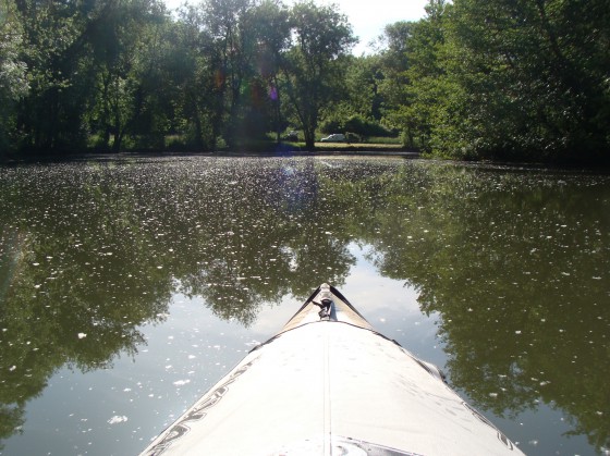 Kayak