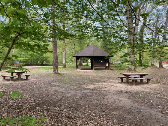 Kiosque Office National des Forêts