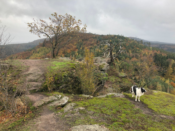 Krapenfels