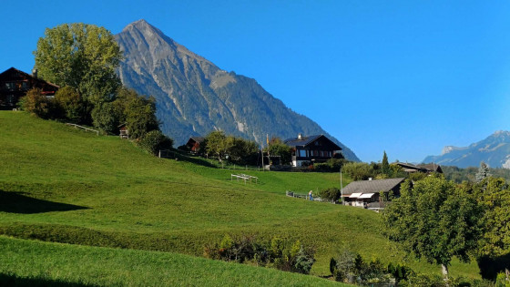 Spiez - Interlaken über den Panorama Rundweg Thunersee