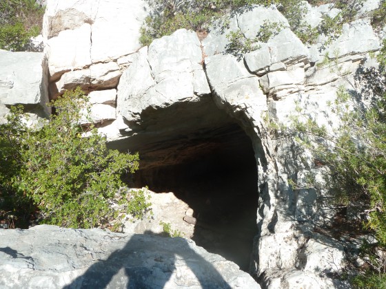 L\'Abri du figuier