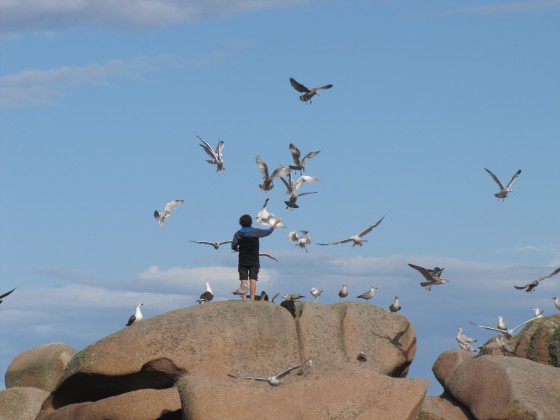 L\'ado et les oiseaux