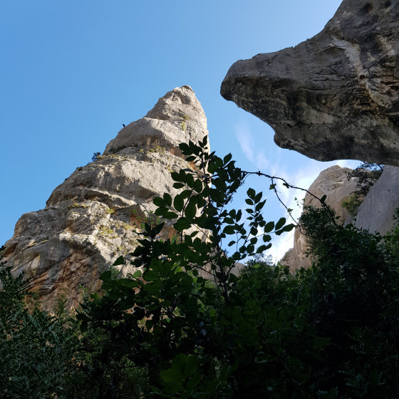 L\'Aguglia