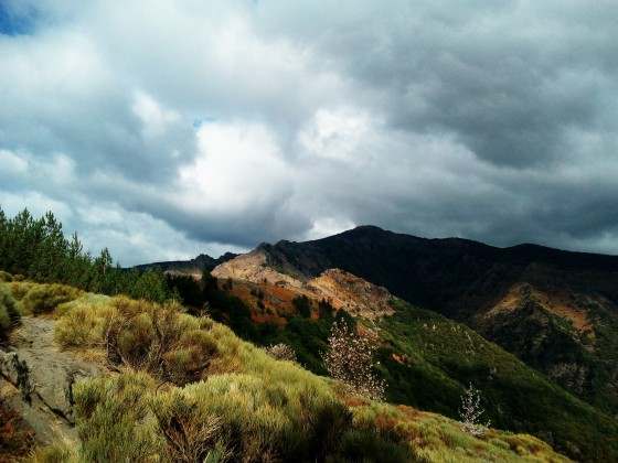 L\'Aigoual en vue
