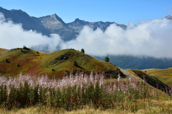L\'aiguille d\'Orcières au delà de la vallée lors de la montée 05/09/2025