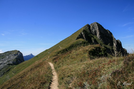 L\'aiguille Verte