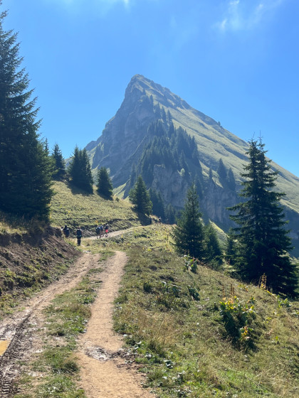 L&rsquo;aiguille verte