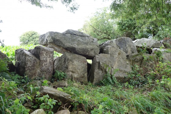 L'allée couverte des Moitiers-d'Allonne