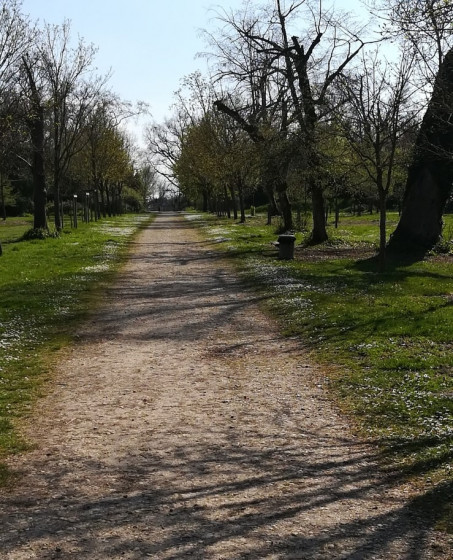 L\'allée d\'honneur