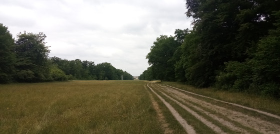 L\'Allée des Beaux Monts