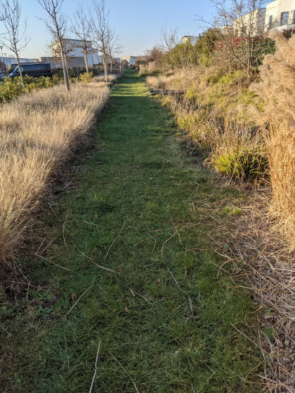 L'all&eacute;e pi&eacute;tonne en herbe