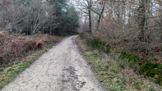 L'all&eacute;e venant de M&eacute;renvielle