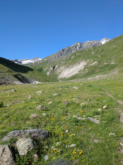 L\'alpage