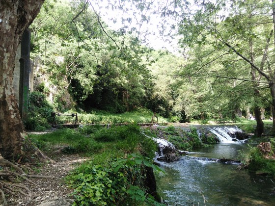 L\'Alzon