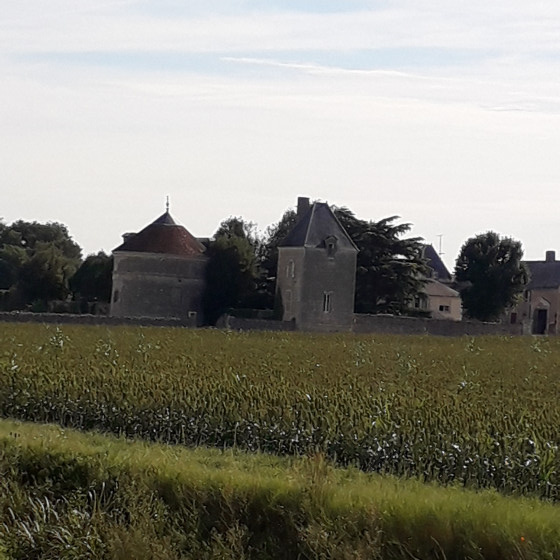 L\'ancien château de Nozieux