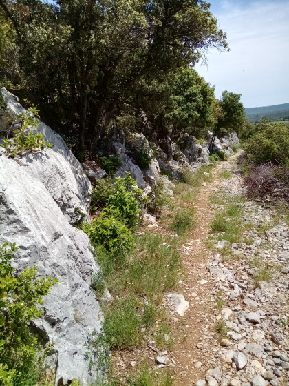 l'ancien chemin de Corconnes