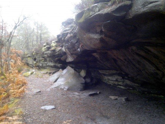 L\'Antre des Druides