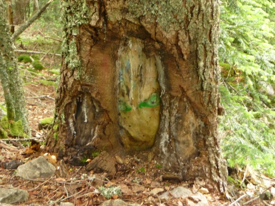 L\'arbre râleur