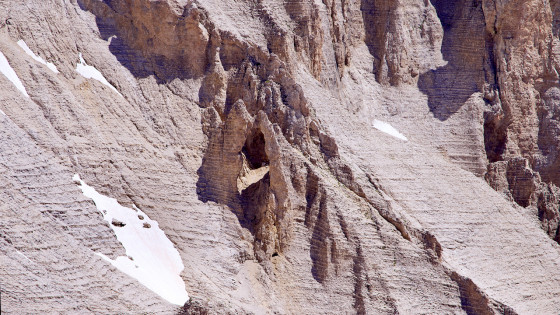 L'Arche aux Saxifrages