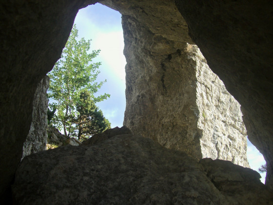 l’Arche double