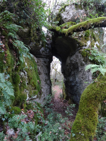 L'Arche