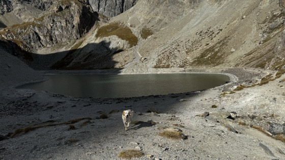 L&rsquo;arriv&eacute;e au lac