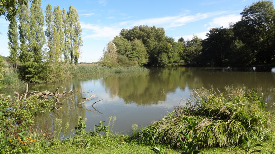 L'Arvau