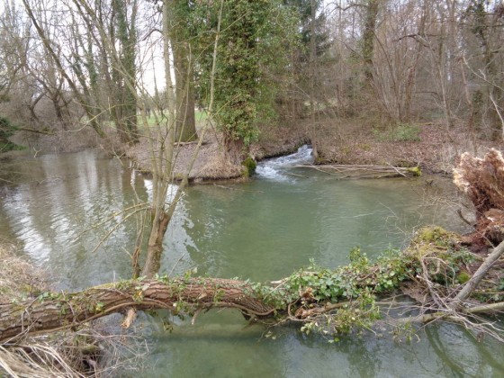 L\'Augraben (mars 2016)