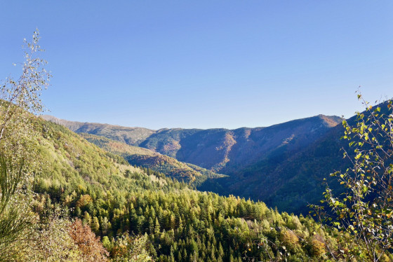 L’automne s\'installe