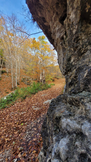 l'automne