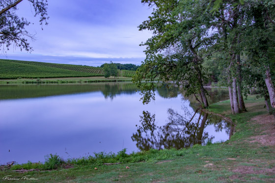 L'eau et le vin