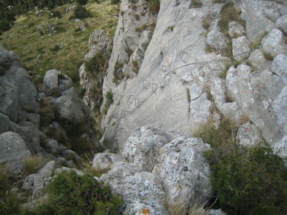 L\'échelle