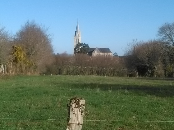 L'église de Férel émergeant du bocage