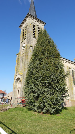 L\'église de Parroy