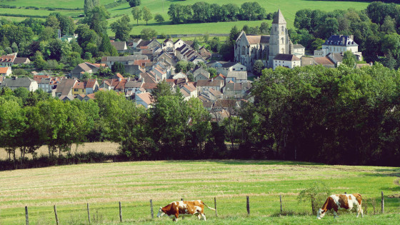 L'église de Saint Seine l'Abbaye