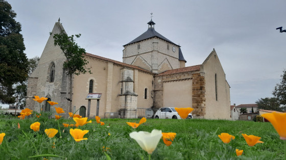 l'église Sainte-Radegonde de Jard sur Mer