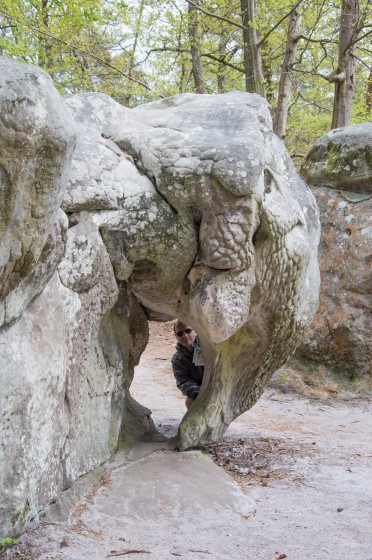 L'&eacute;l&eacute;phant de Barbizon