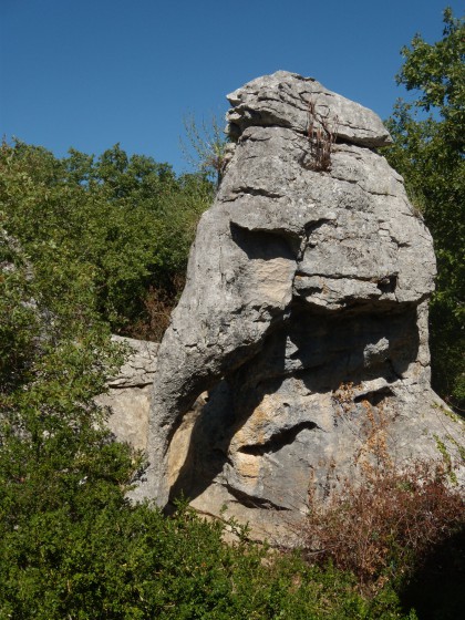L\'éléphant